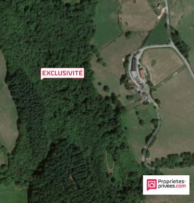 Forêt 3,20 ha de sapin Douglas 30 ans (Aveyron)