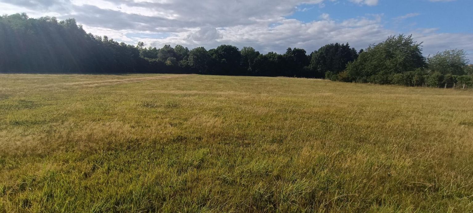 Terrain constructible. 9159 M2 m2 luxeuil