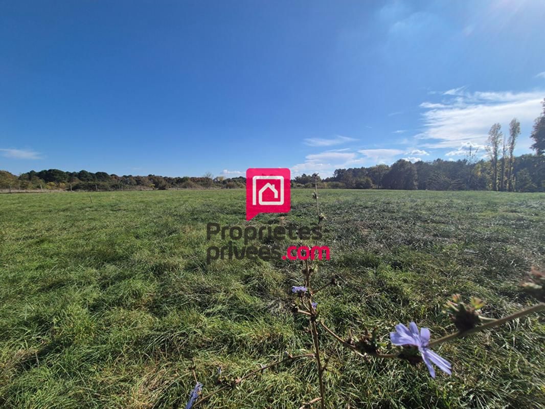 Terrain constructible de 6262 m² - Beau potentiel de projet