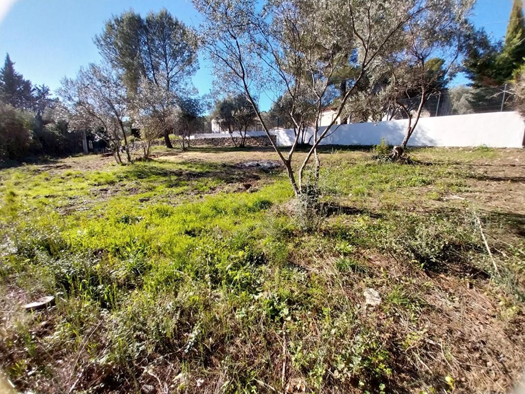 Terrain Draguignan 800m2