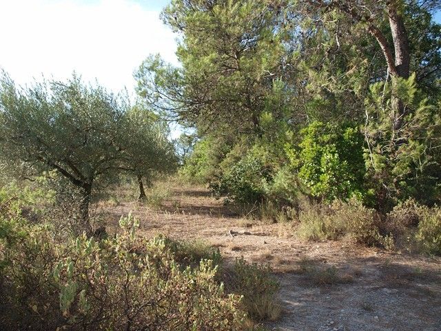 Uzès terrain de loisirs avec eau et électricité