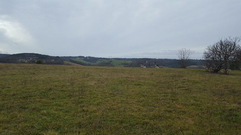 Terrain