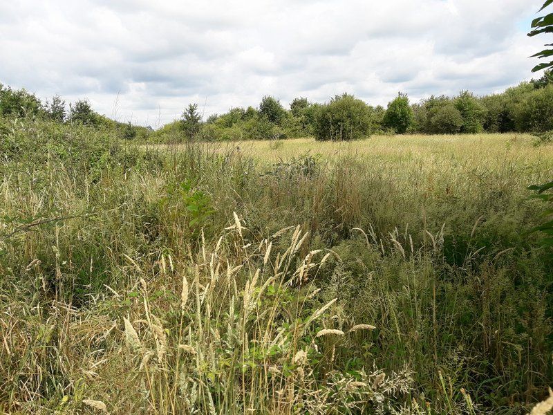 Propriété de 4 hectares avec C.U