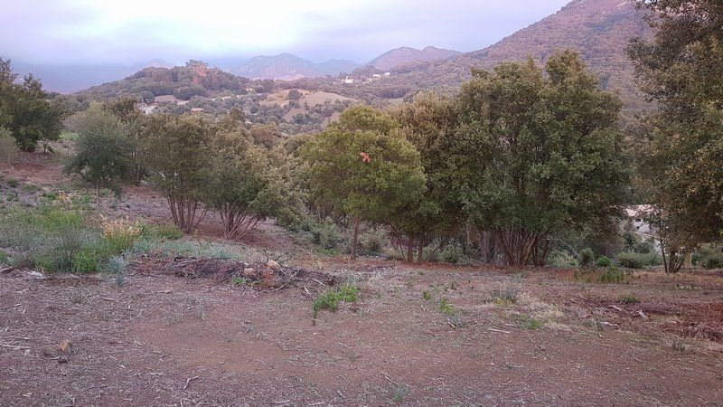 VENTE TERRAIN 1891 m2 CAURO (20117)