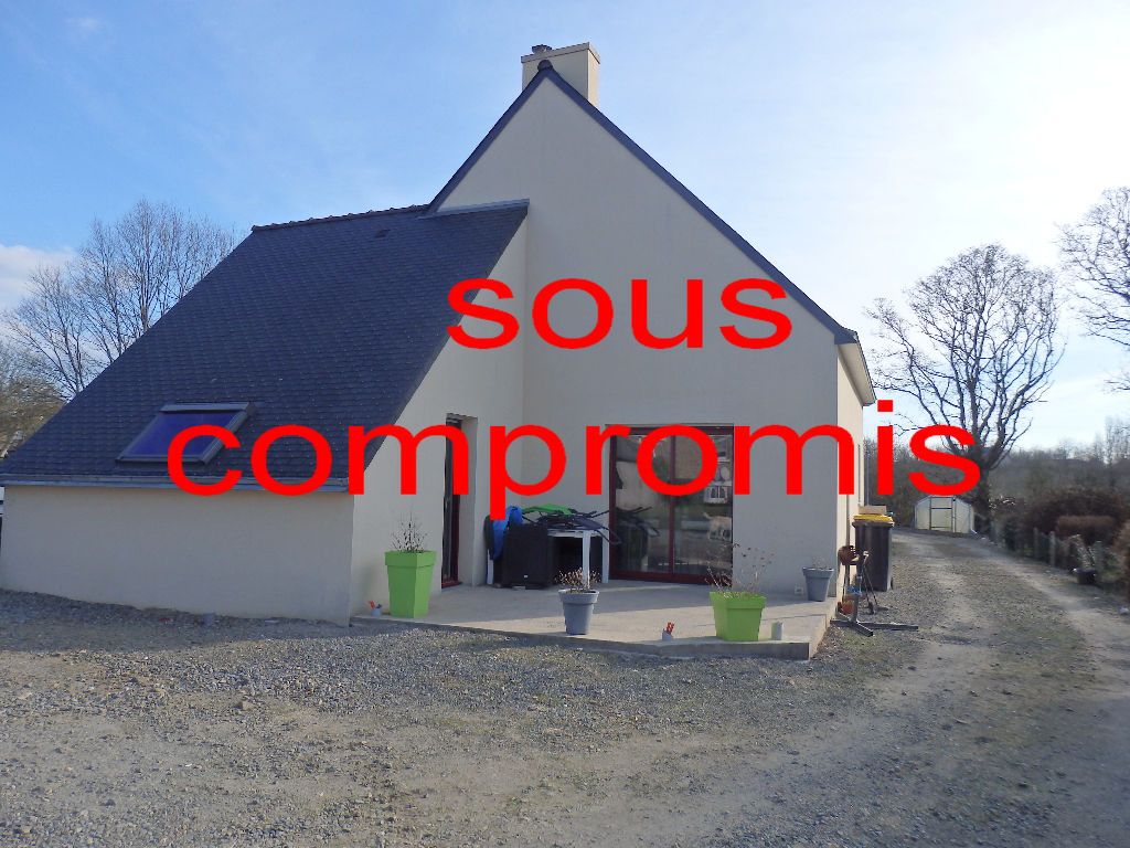 PLUDUAL Maison 4 chambres 110 m² 1