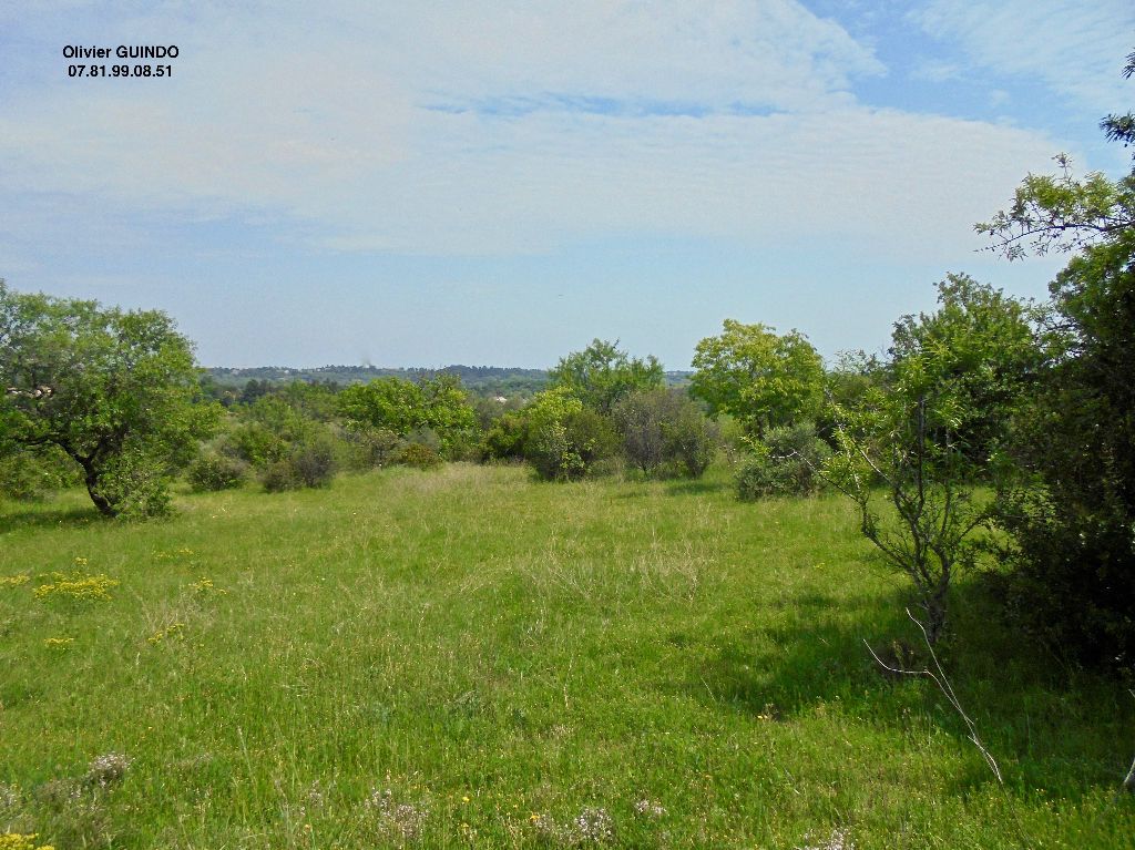 Terrain agricole ou loisirs de 7489m2