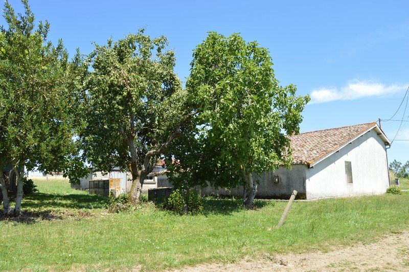 Maison en pierre, 5 pièces, dépendances proche Marmande