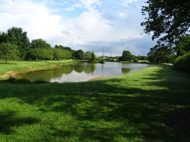 Etang Cholet 8000 m2