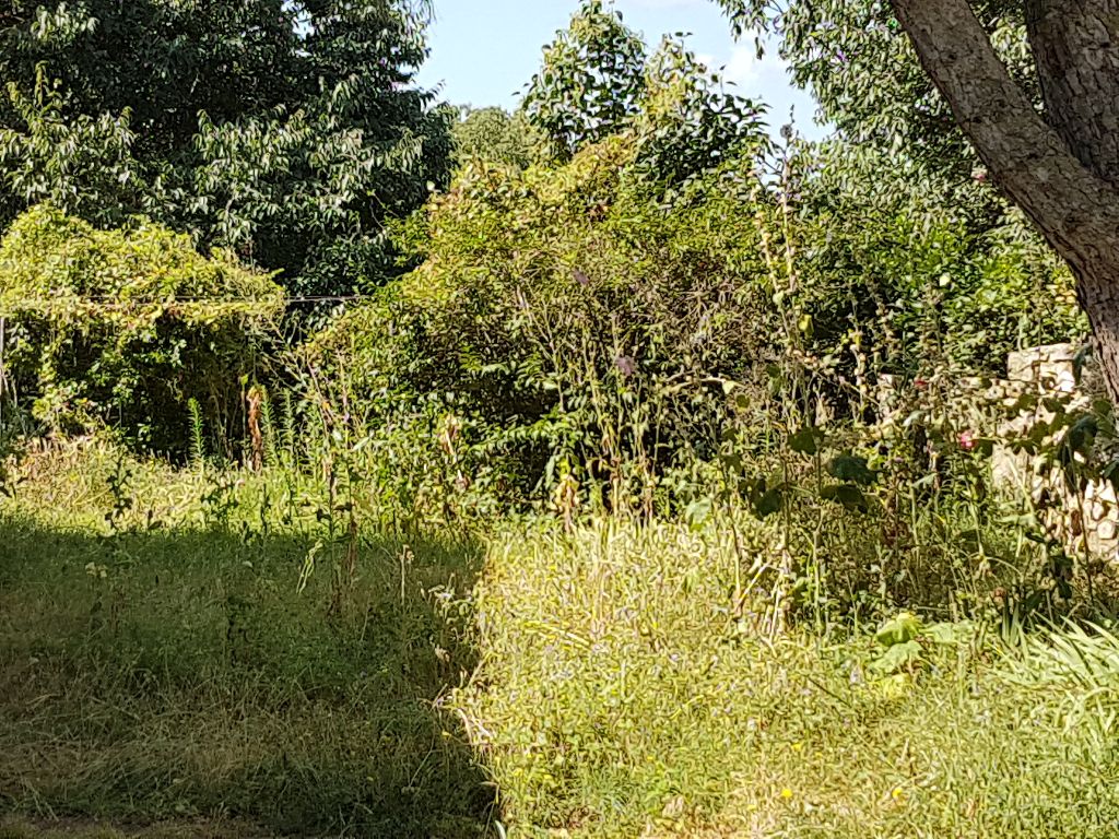 Superbe vue, au calme, maison de village avec jardin et grand hangar en pierre