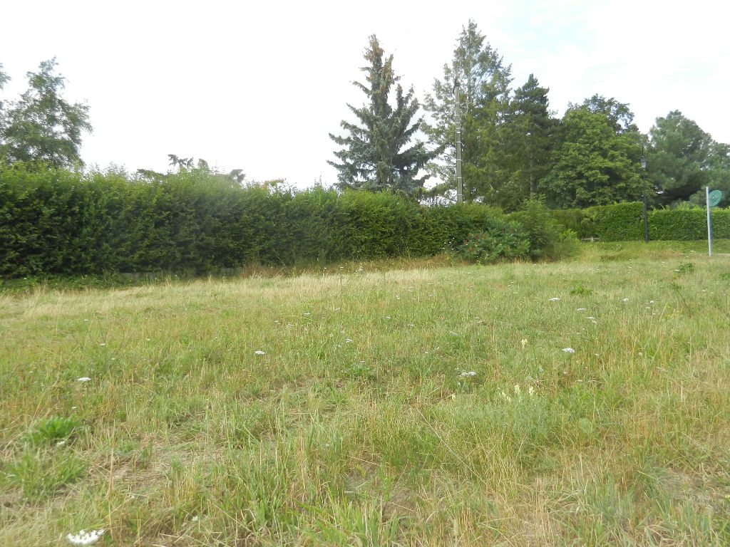 Terrain 800 m2