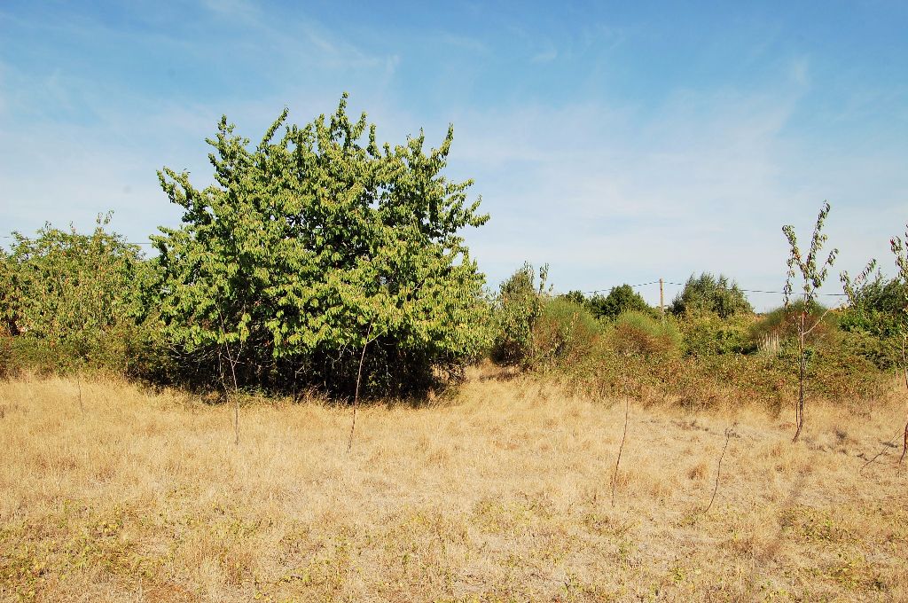 Maison à rénover à L'Orbrie 120 m²