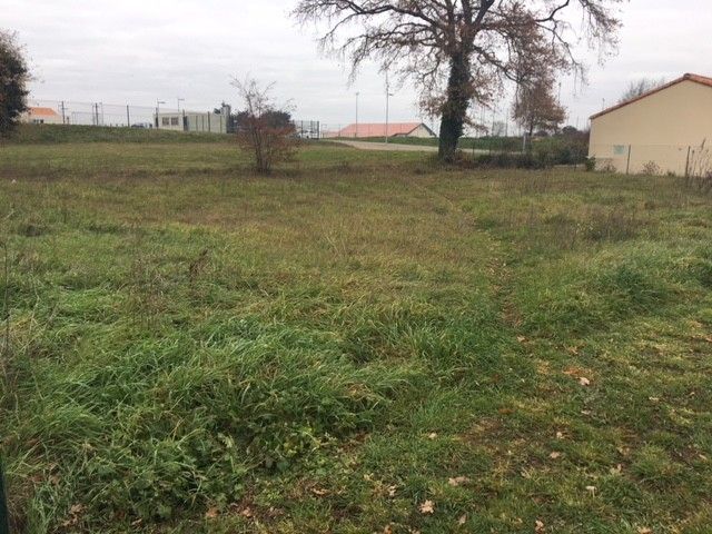 Terrain - 505 m2