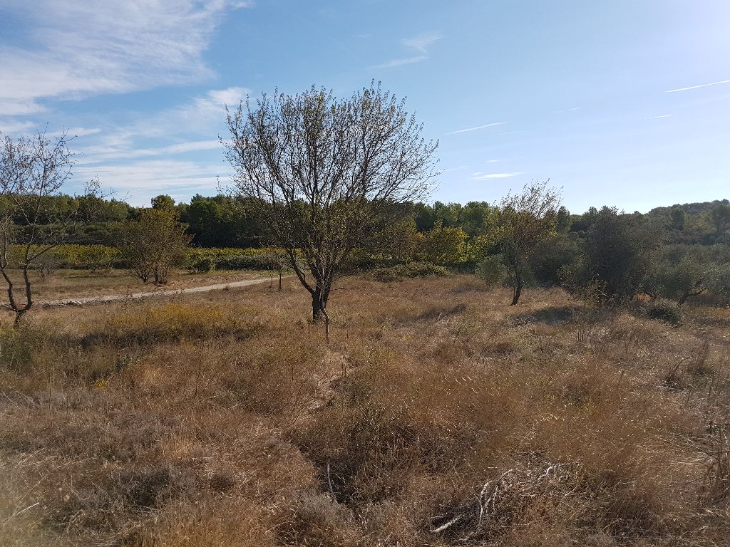 Au calme, beau terrain plat, ensoleillé !