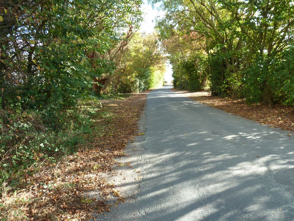 LA ROCHELLE - BEAU TERRAIN 582 M2 CLOS -17138 SAINT XANDRE