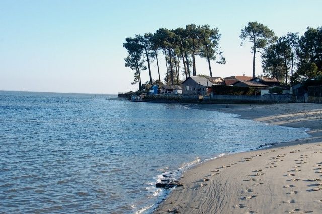 Cabane en bordure du Bassin d'Arcachon