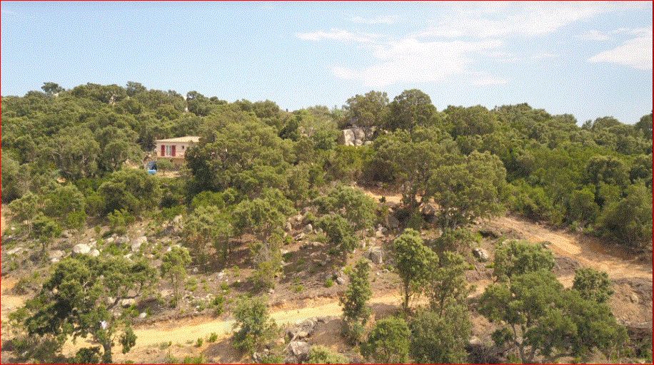 TERRAIN DE 1221 STE LUCIE DE PORTO-VECCHIO - LA TESTA