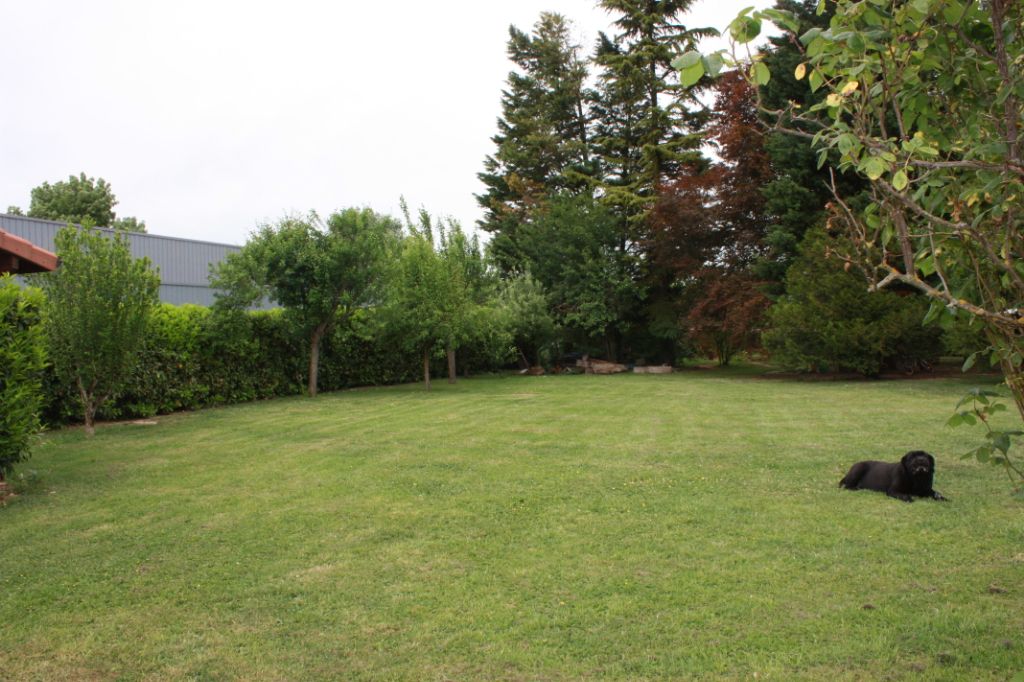 Terrain 1000 m2