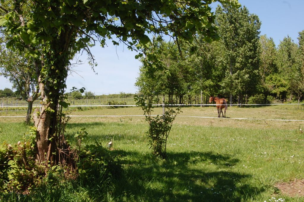 Longère en pierre sur 1HA de terrain