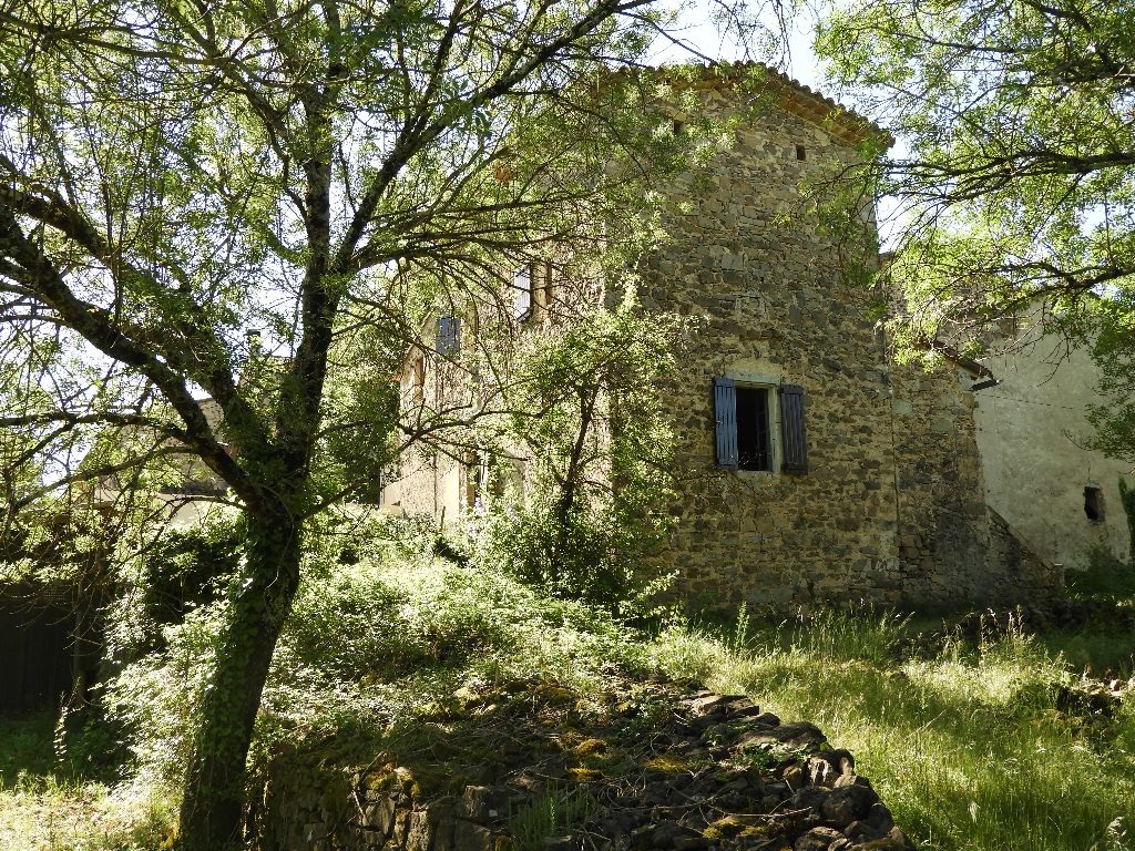 Maison proche Thoiras 3 pièce(s) 60 m2
