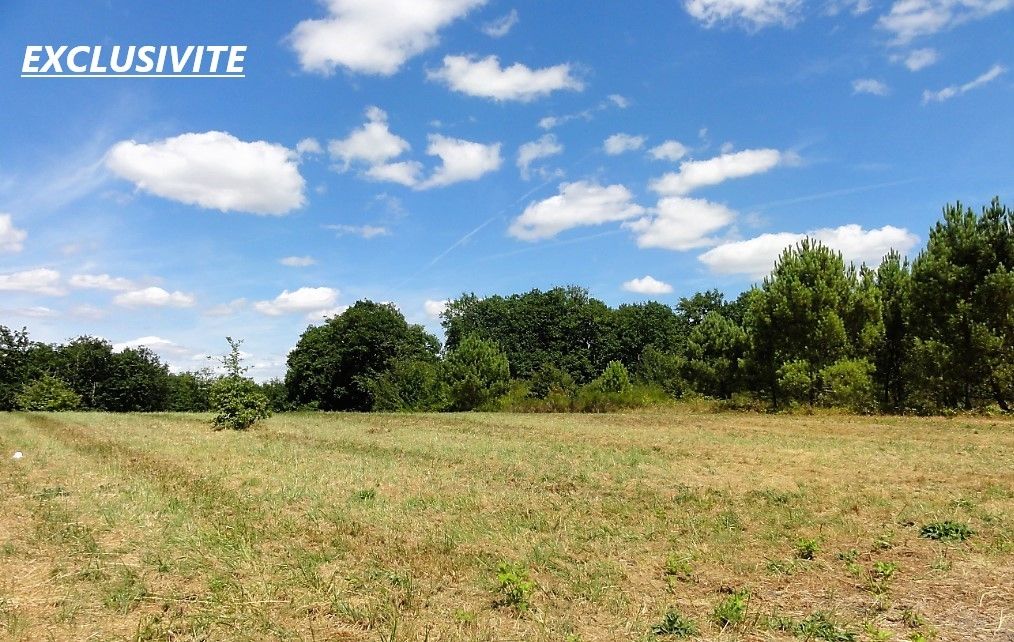 Terrain 11741 m2 MONTMOREAU-SAINT-CYBARD