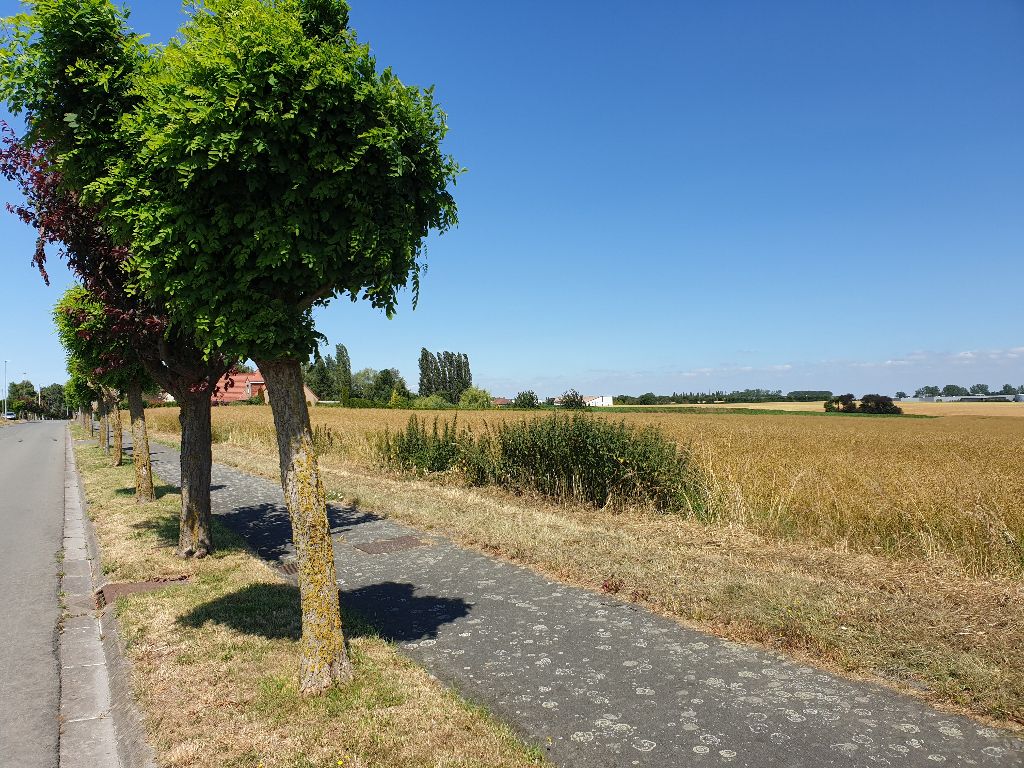 Terrain Caudry 1121 m2