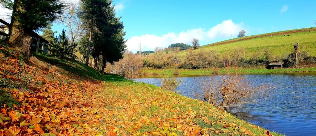 Terrain plein sud 830 m2 proche de Tarare