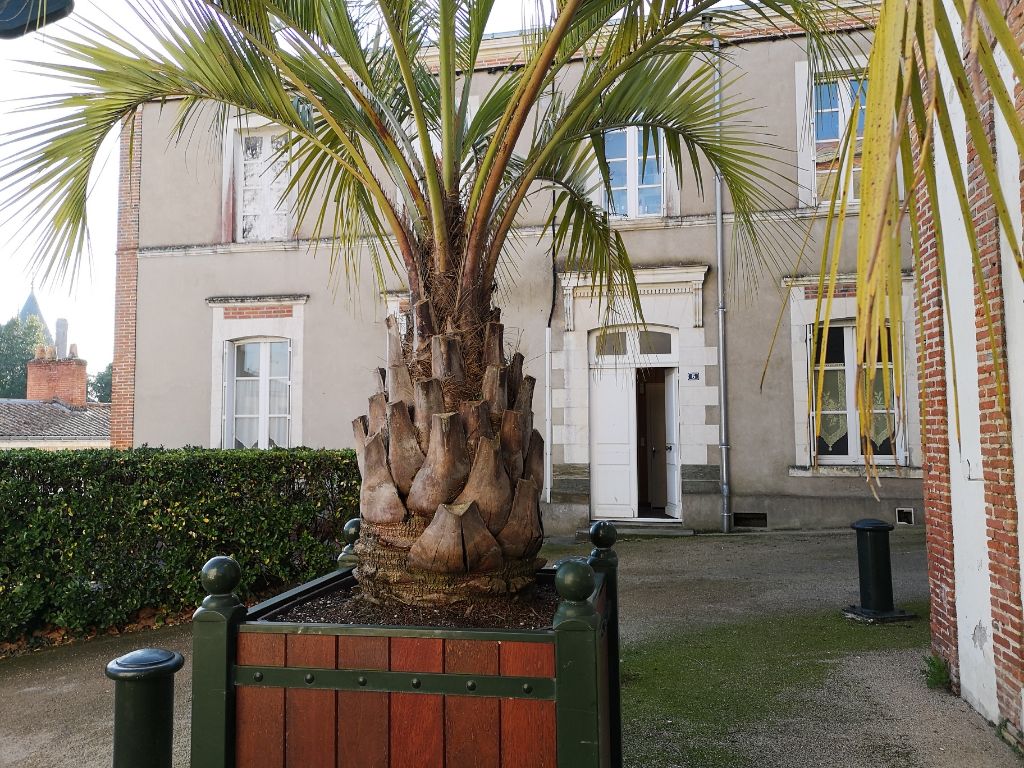 Appartement Pornic Centre - Vieux Port - 2 pièce(s)