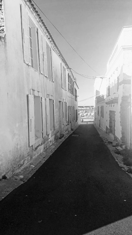 AMOUREUX DES VIEILLES PIERRES