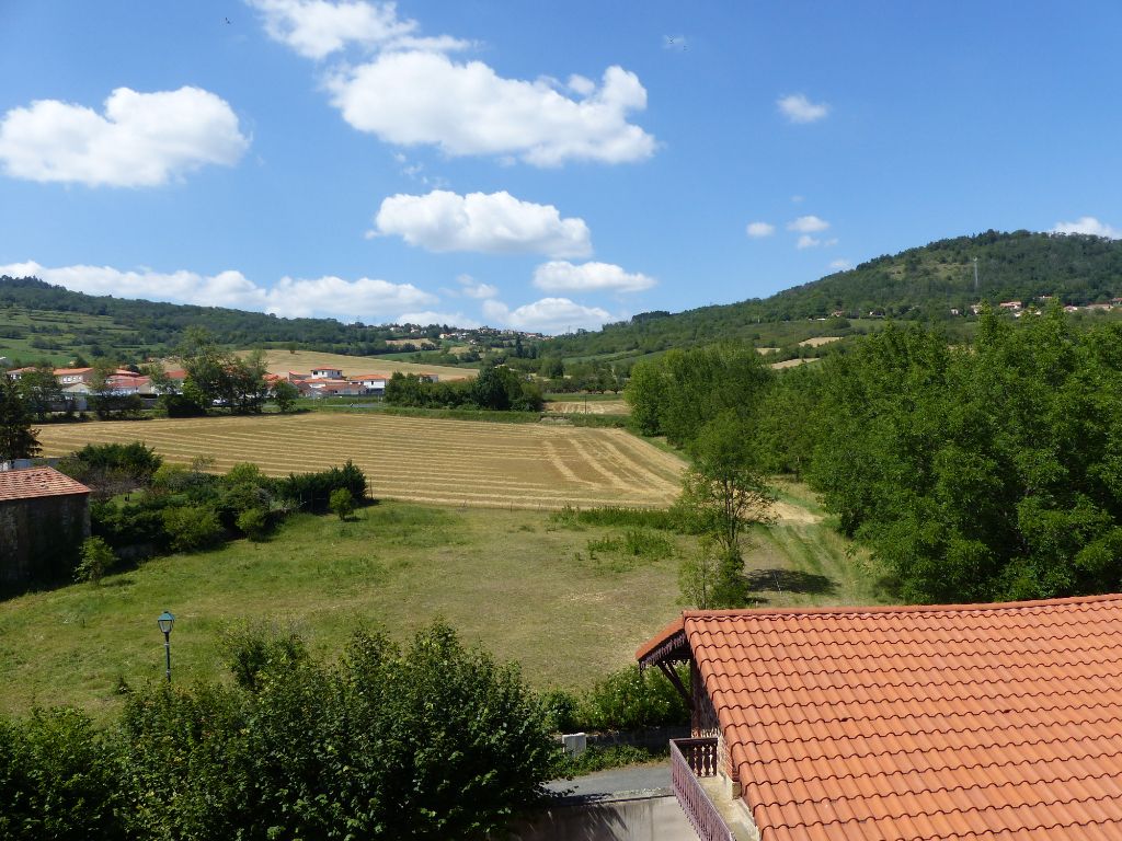 CHANONAT Maison de maitre Chanonat 15 pièce(s) 750 m2 3