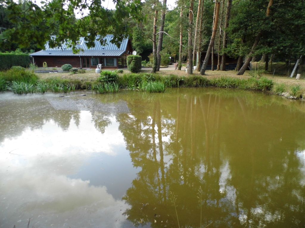 Maison BOUZY LA FORET 4 pièce(s) 112 m2