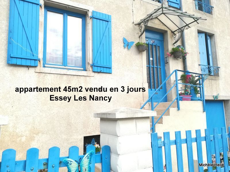 Appartement jardin privatif, cave, Essey Les Nancy 2 pièce(s) 45 m2
