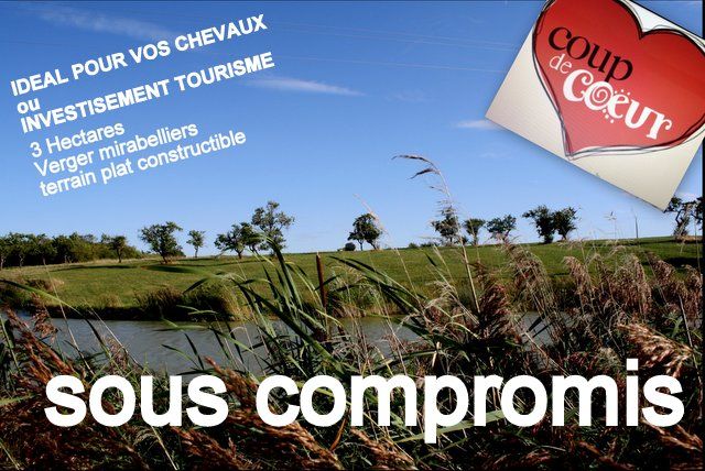 57000 METZ/terrain 3ha avec étang, verger, terrain bâtir,idéal chevaux/123990? HAI