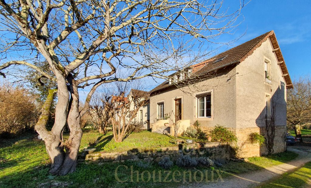 24290 Montignac : maison de ville avec jardin