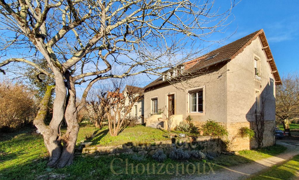 24290 Montignac : maison  de ville avec jardin