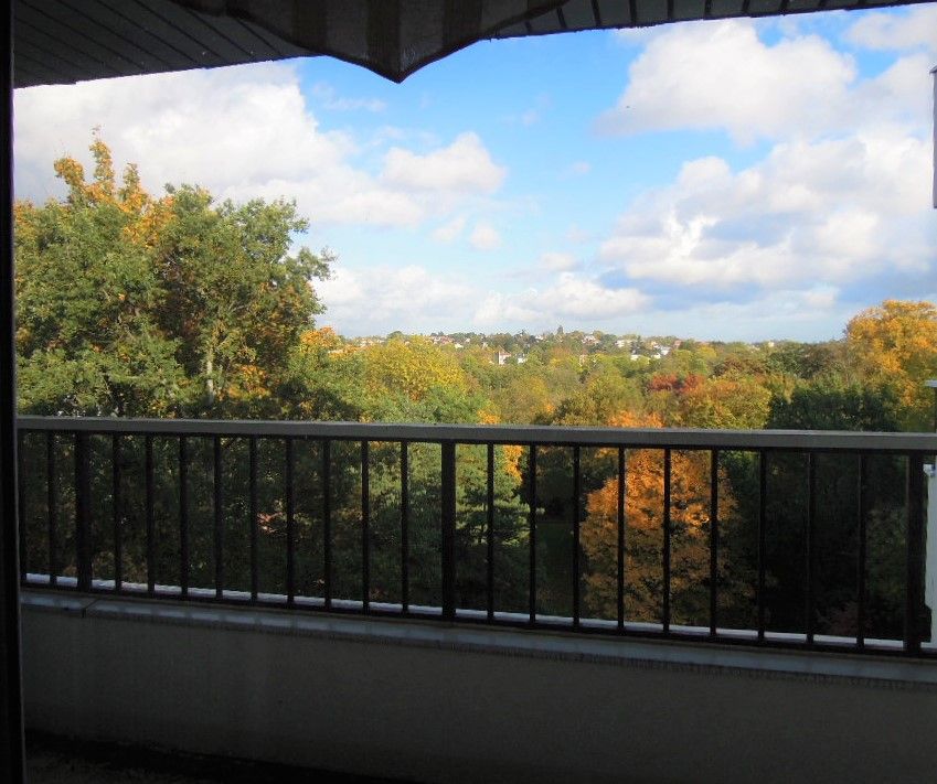 91800- BRUNOY- Appartement 3 pièce(s) 65 m² + Cave