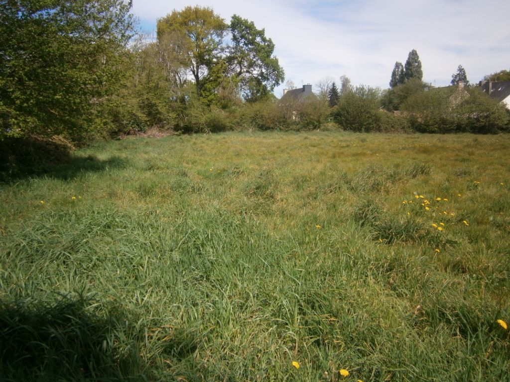 TERRAIN CONSTRUCTIBLE 3114 M2