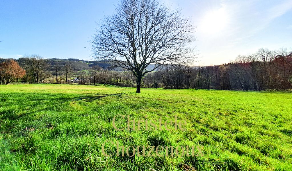 24120 Terrasson  : Terrain à bâtir d'env. 4650 m²