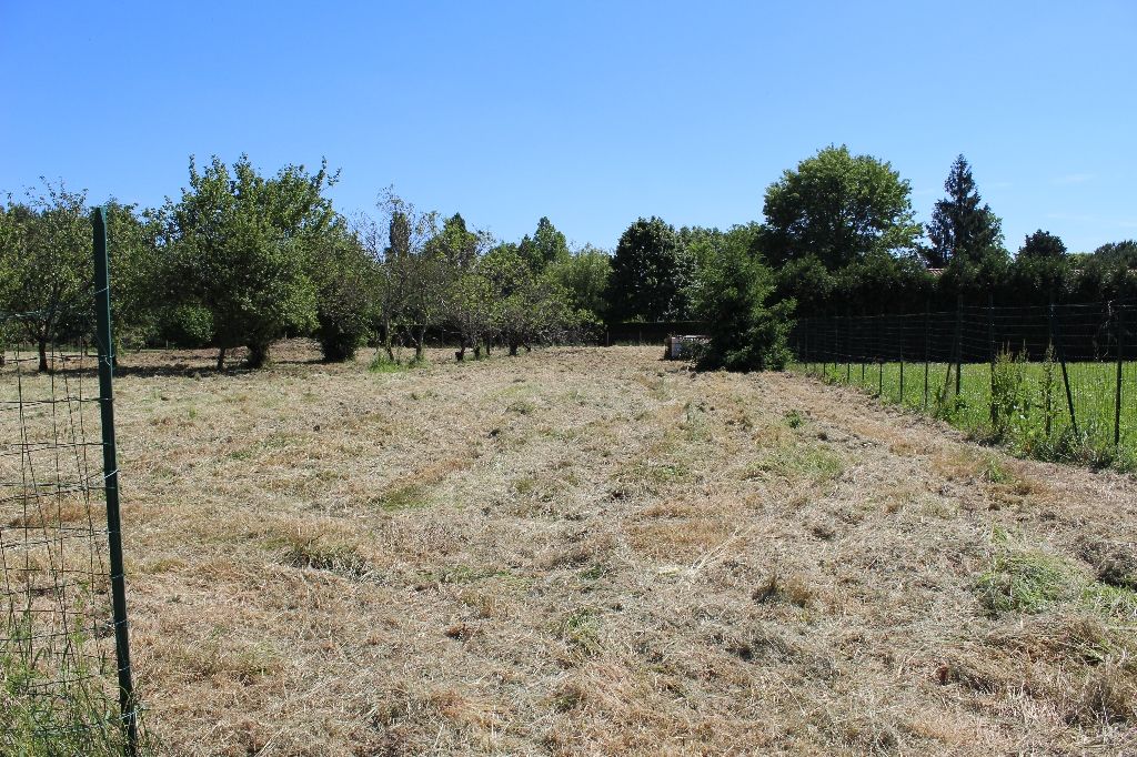 TERRAIN construsctible 3464 m²