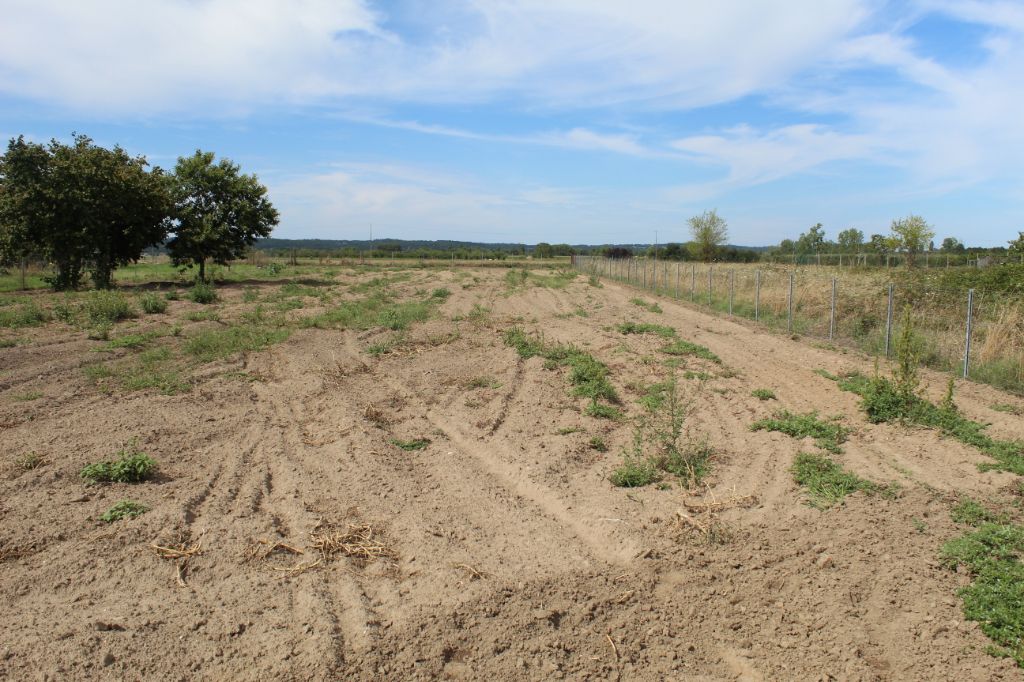 Terrain à bâtir 1664 m²