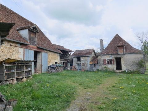 Maison Tourtoirac 51 m2 / Grange / terrain 4820m²