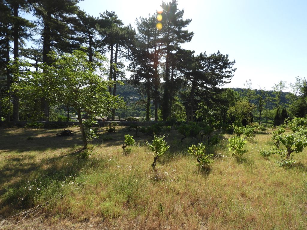Terrain Anduze 1316m2