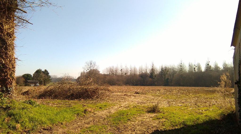 Terrain Pommerit Le Vicomte 7260 M2 m2