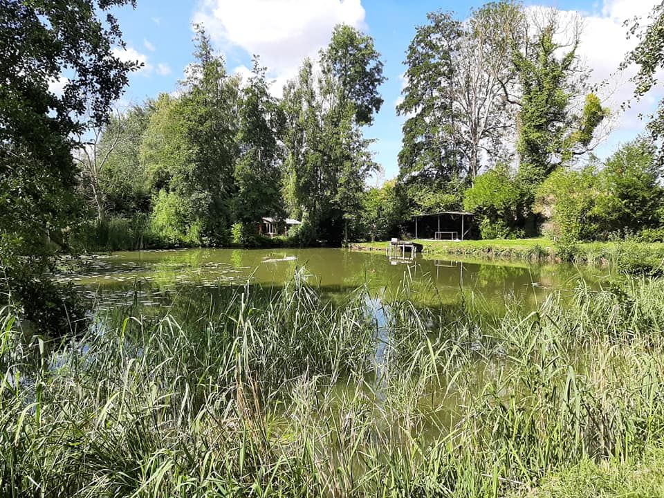 Etang poissonneux