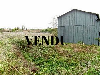 Terrain Chaille Les Marais 1080 m2