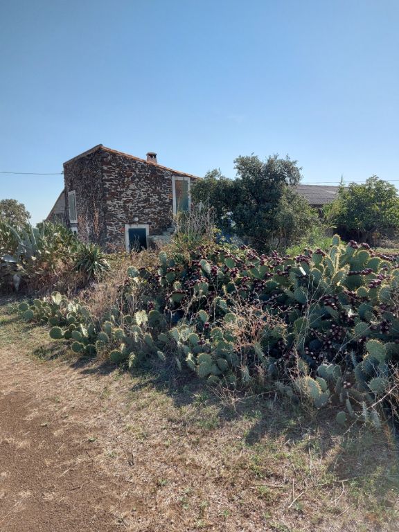 Ancienne bergerie avec maison de 80m2