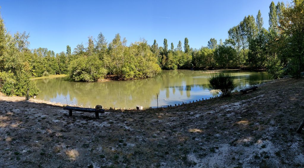 Terrain de loisir boisé avec un étang de 1 hectare