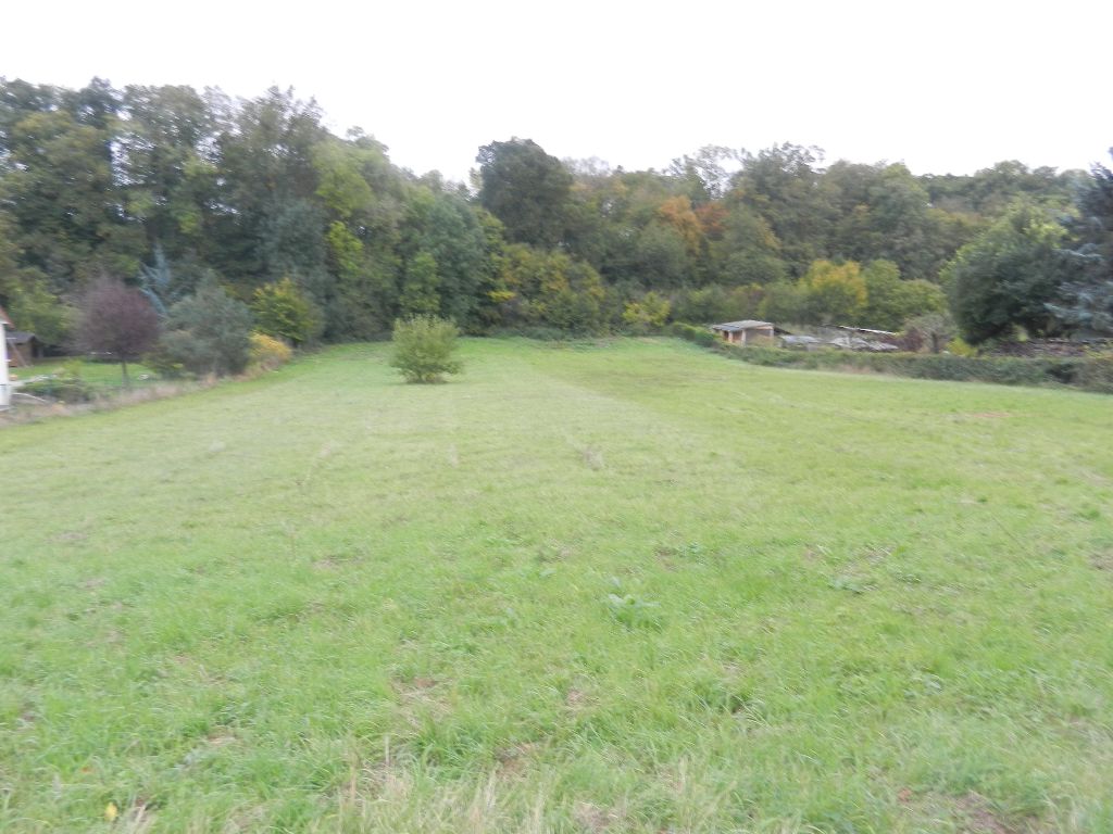 Terrain 2000 m2 environ LOUYE