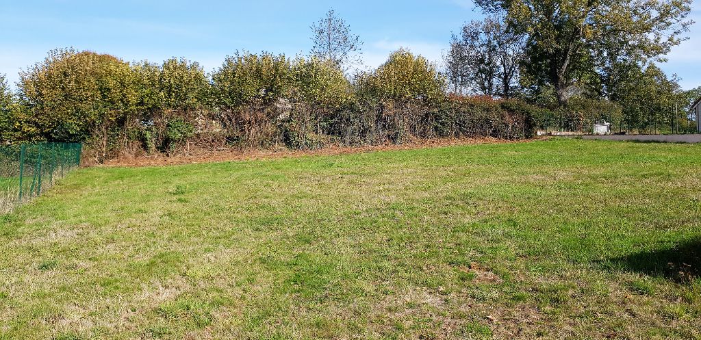 Terrain Violay 681 m2