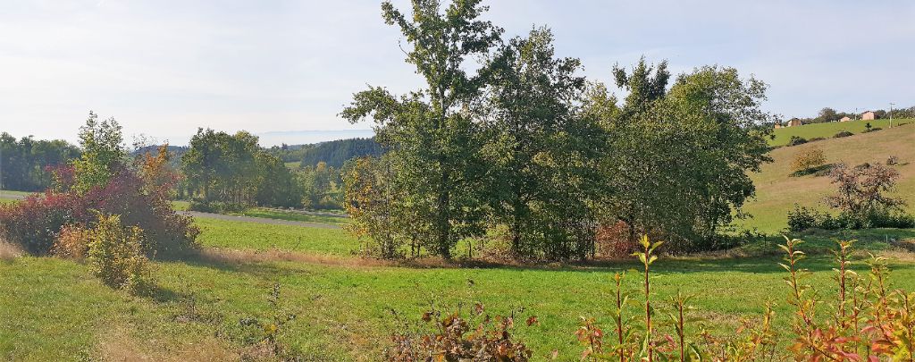 Terrain viabilisé de 984 m2 avec vue dégagée