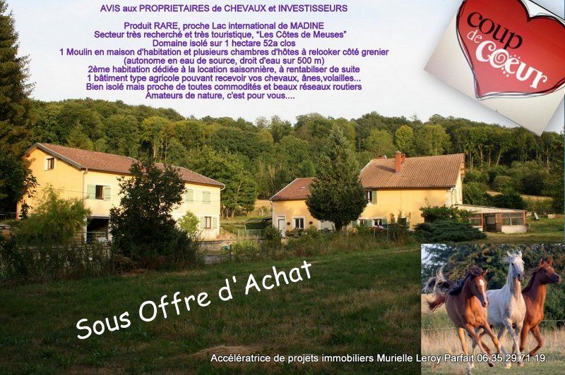 57000 METZ, Maison, écurie, gîtes, Moulin eau,1hectare5/305260